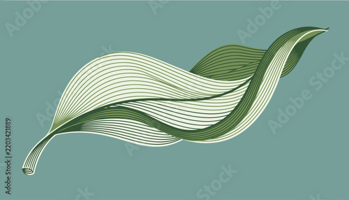 Graphic illustration of a flowing green leaf with intricate lined veins on a solid blue background, perfect for natural cosmetic packaging.
