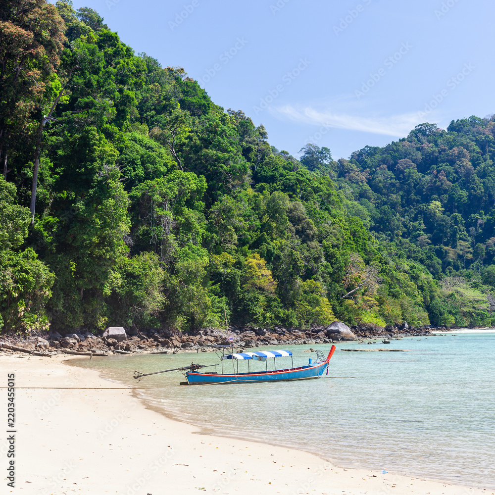 Obraz premium Blue longtail boat anchored near a sandy beach with lush green hills on Koh Surin, Thailand.