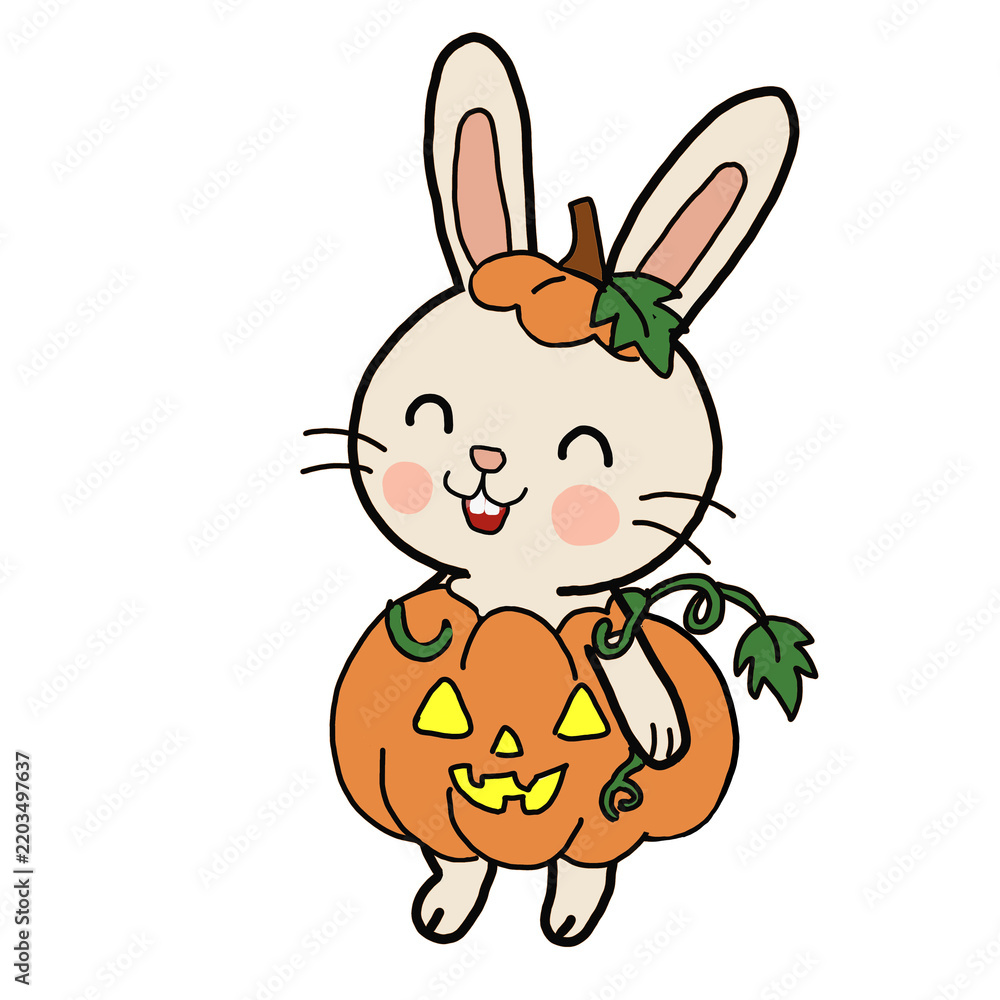 Fototapeta premium rabbit pumpkin