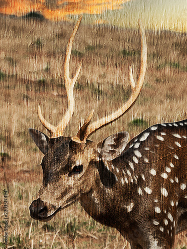 Quadro su tela Rustic painted portrait of a majestic spotted stag with large antlers in a warm
