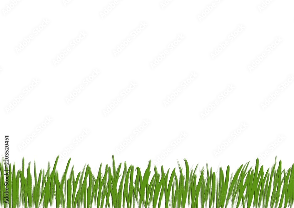 Fototapeta premium A horizontal white background with hand-drawn green grass along the bottom edge.