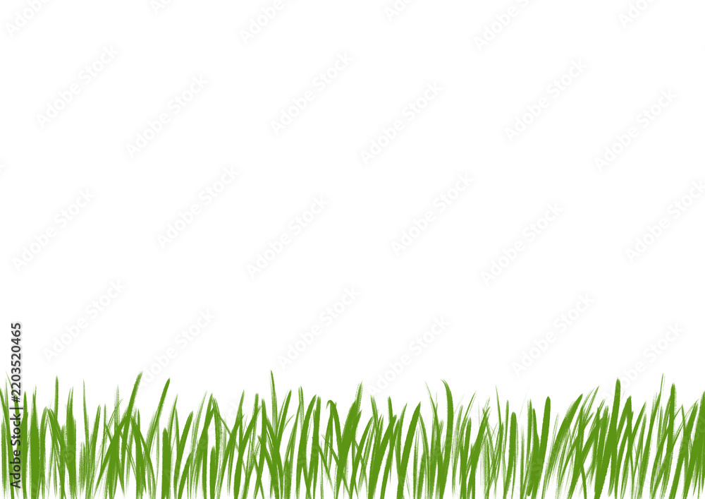 Fototapeta premium A horizontal transparent background with hand-drawn green grass along the bottom edge.