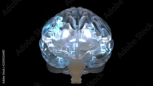 Brain digital color. Neuron connections. Futuristic medical technology concept. Animation on Black background and Green Screen. 3D Render.