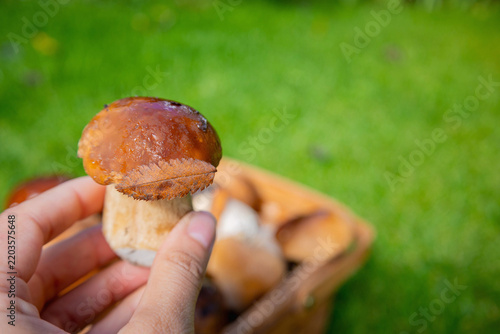 Woman holding porcini mushrooms on a background with a basket of mushrooms