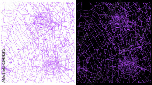 Intricate purple spider web pattern, abstract violet cobweb texture on white and black backgrounds, gothic lace net design for spooky halloween decor