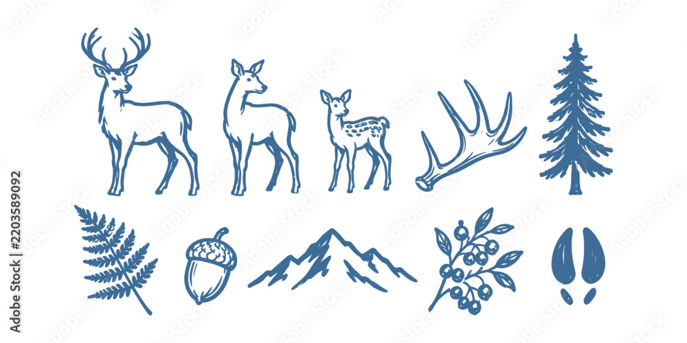 Fototapeta premium Forest deer family and nature elements doodle set Vector Illustration 