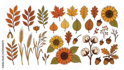 Colorful autumn leaves, seeds, and flowers vector illustration