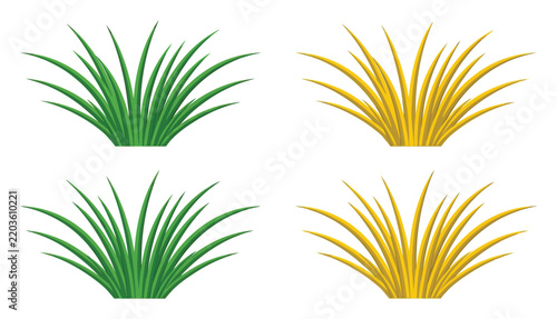 Set of green and yellow grass tufts, natural field vegetation for landscape and environmental projects