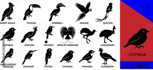 Black tropical rainforest exotic birds silhouette bundle harpy eagle toucan hornbill macaw quetzal cotinga hoatzin motmot cassowary trogon editable vector
