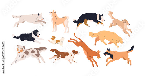 Dogs, puppies running. Various canine animal breeds, vector illustrations set...