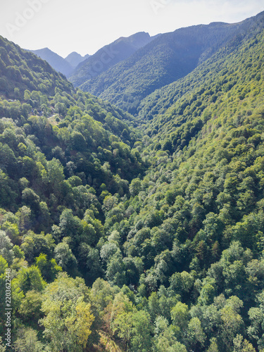 Route to Pic de Cabrere and the Labach forests, Melles, Haute-Garonne department, Midi-Pyrénées, France