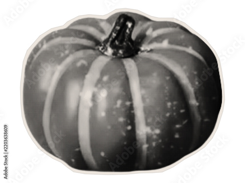 Halloween pumpkin. Autumn vegetable for a collage or scrapbook design. Vector.