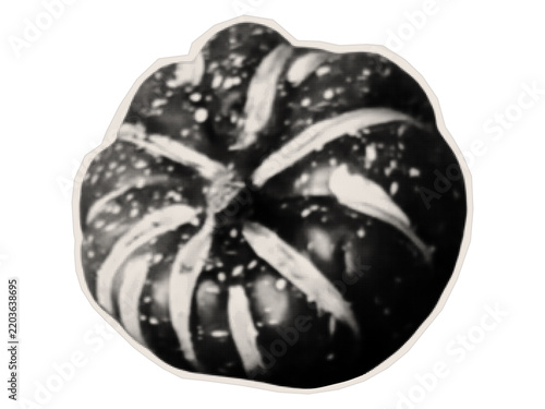 Raw pumpkin. Halloween party decoration sticker. Cutout element made of old paper on a white background.