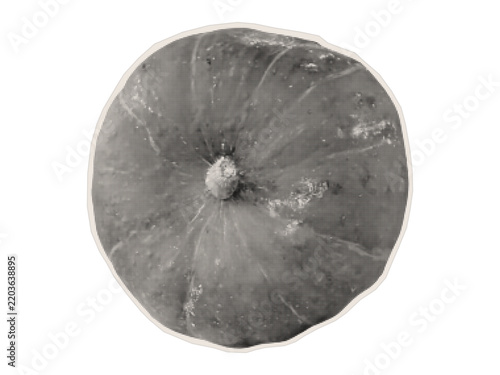 Photocopy of a whole pumpkin. Grunge texture, halftone style. Paper design element. Vector.