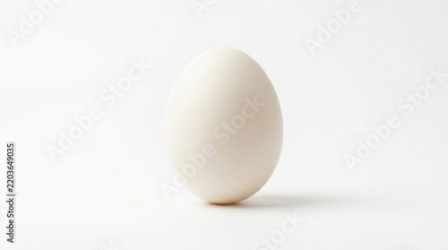 A single fresh chicken egg standing upright isolated on a clean white background