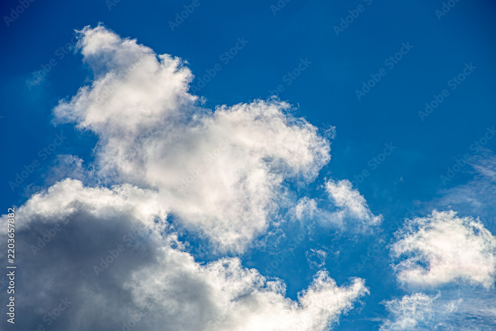 Fototapeta premium Sunlit White Clouds Floating Across a Deep Blue Sky with Copy Space