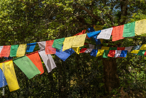 Paro Bhutan, colourful prayer flags on path to tigers nest