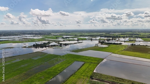 Aerial view of rice field countryside with blue sky and white clouds Agricultural Farmland