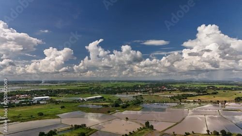 Aerial view of rice field countryside with blue sky and white clouds Agricultural Farmland