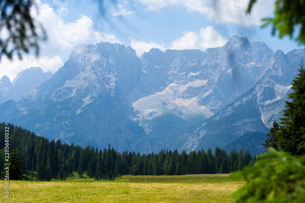 Obraz premium Idyllic mountain landscape in the Alps with blooming meadows in springtime