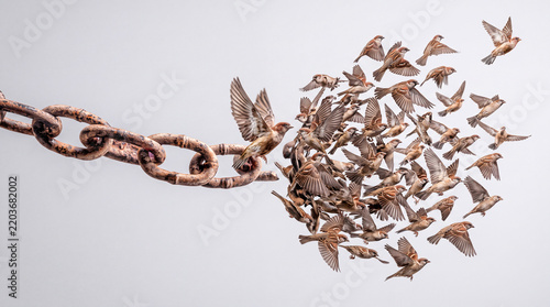 Conceptual Illustration of a Rusty Broken Metal Chain Releasing a Large Flock of Small Birds Flying Toward Freedom on a Neutral Background Representing Liberation, Hope, and Escape from Bondage