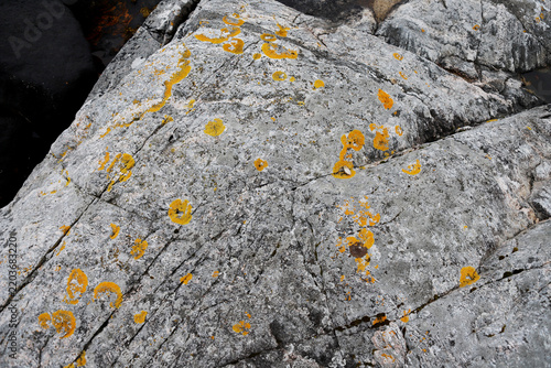 Obraz na płótnie Natural stone texture of rough granite rocks with yellow lichen
