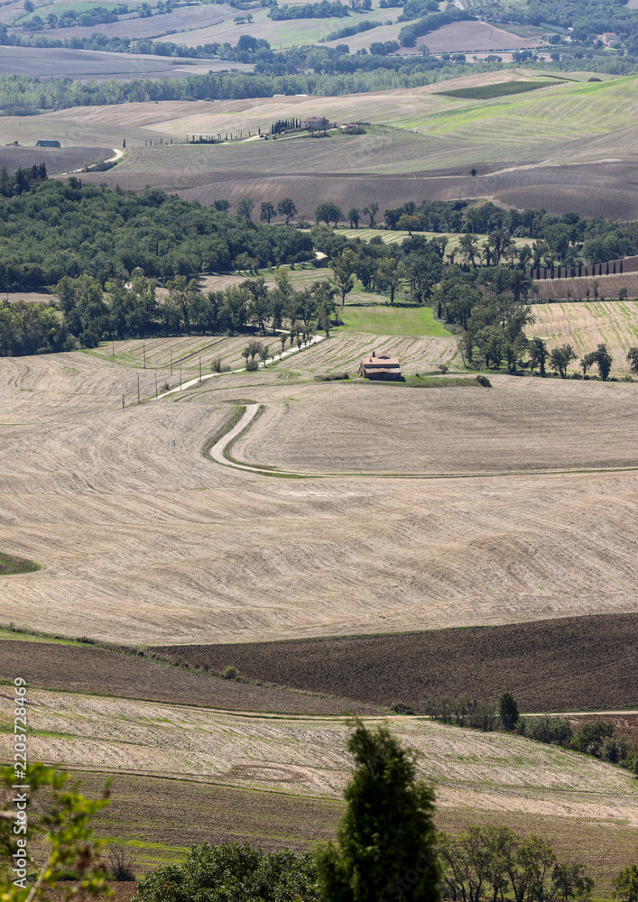 Fototapeta premium The rural landscape near Pienza in Tuscany. Italy