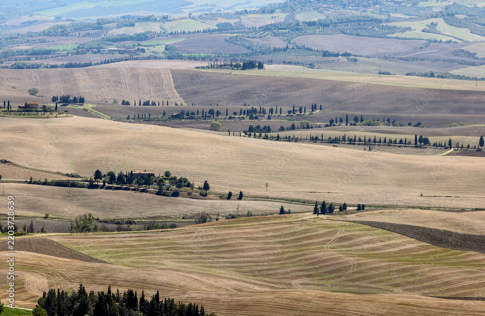 Obraz premium The rural landscape near Pienza in Tuscany. Italy