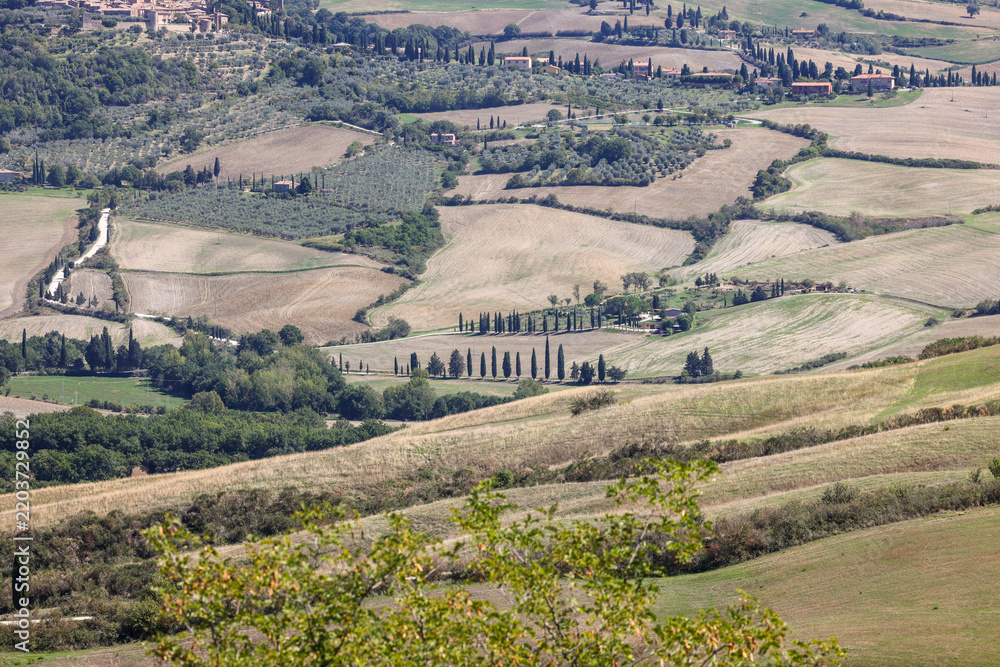 Fototapeta premium The rural landscape near Pienza in Tuscany. Italy