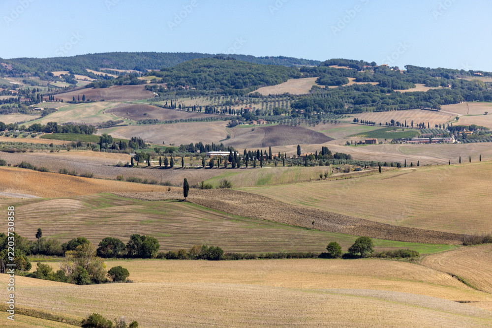 Fototapeta premium The rural landscape near Pienza in Tuscany. Italy