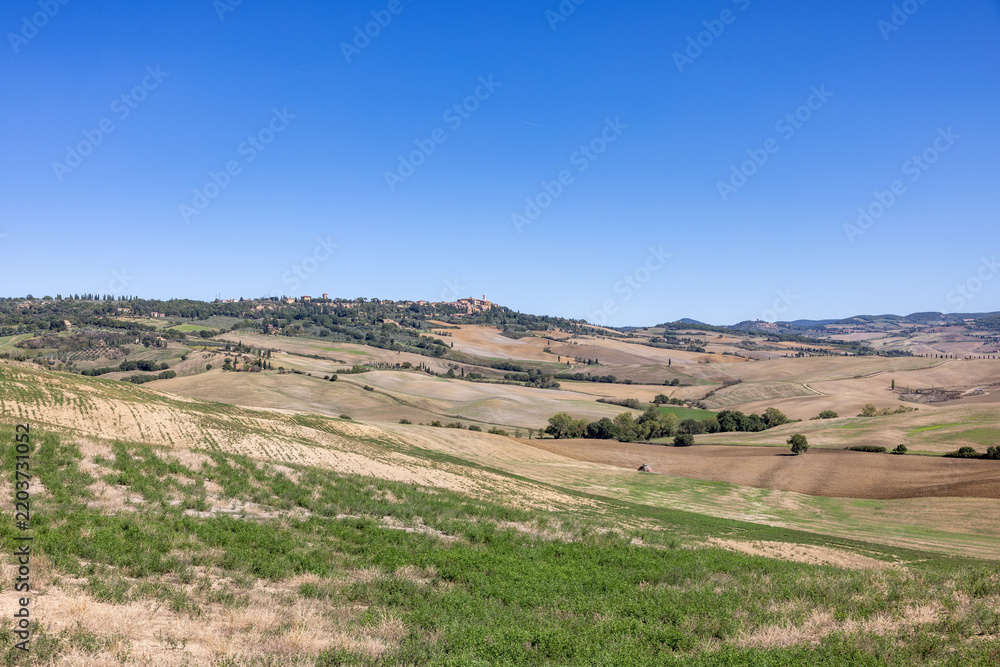 Fototapeta premium The rural landscape near Pienza in Tuscany. Italy