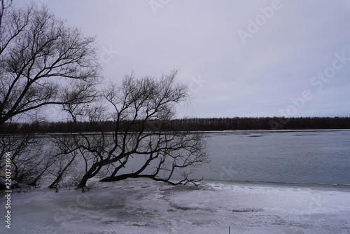 Late autumn landscape with a frozen river bank and bare trees under a cloudy sky