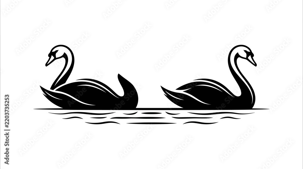 Obraz premium Black and white vector illustration of two elegant swans swimming on the water in a graceful design