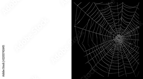 Obraz na plátně Intricate white spider web illustration on black background, detailed cobweb gra