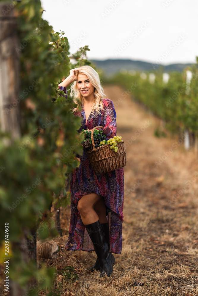 Obraz premium Woman in floral dress holding basket of grapes in vineyard during harvest