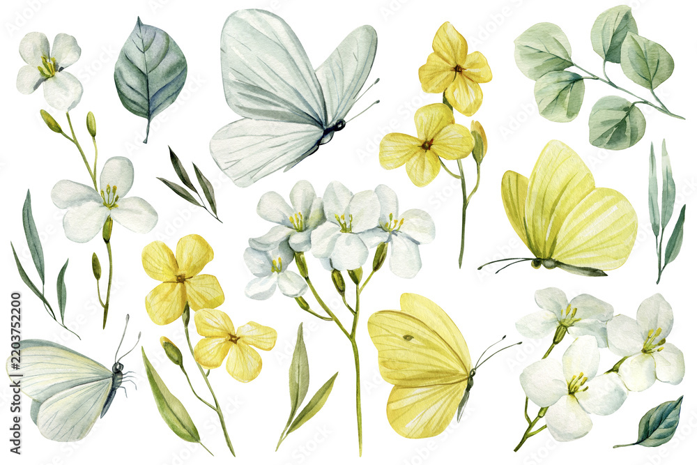 Obraz premium Butterflies and flowers watercolor set with yellow blooms and pale green leaves on white background for spring wedding invitations