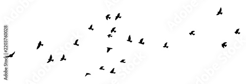 Flying bird silhouette set featuring flock of birds in sky for architectural entourage, landscape rendering, exterior elevation and graphic banner design.