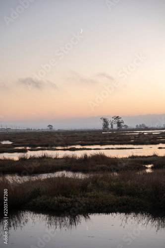 Scenic view of wetland landscape at dusk with crescent moon above