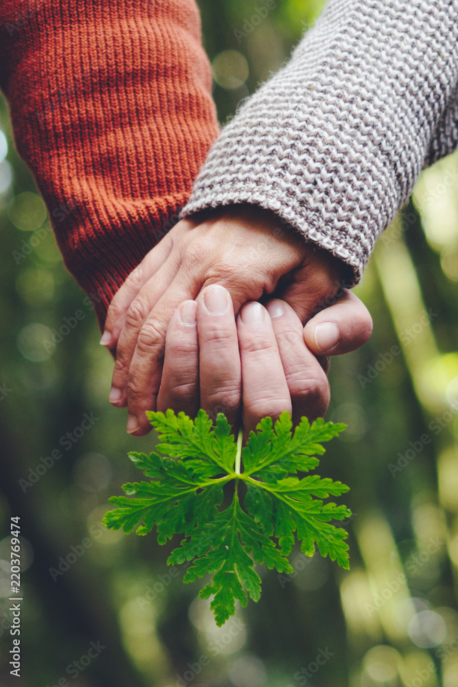 Obraz premium Two people holding hands above a green leaf in forest, showing connection, support and love, wearing knit sweaters; close-up natural light, shallow depth field, peaceful moment.