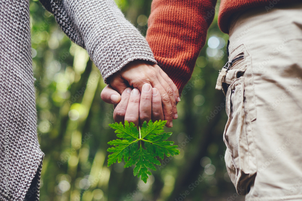 Obraz premium Couple holding hands in a green forest, walking together and holding a fresh leaf as a symbol of love, connection and nature; sweaters and pants suggest an outdoor stroll.