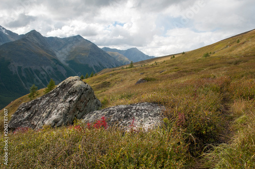 Landscape view of a picturesque grass-covered Altai mountain valley in late August, Russian Federation, the Altai Republic
