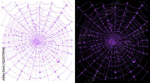 Purple spider web with morning dew drops, intricate cobweb illustration on white and black backgrounds, spooky halloween design element