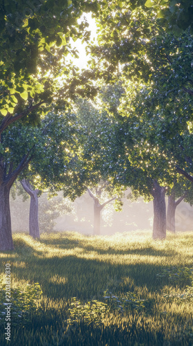 A sunny day in a park with sunlight shining through the tree leaves vertical frame