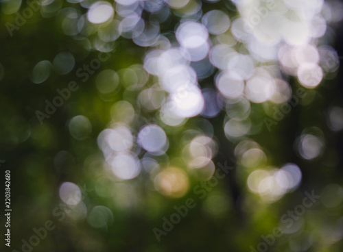 Obraz na płótnie Unscharfe verschwommene helle Bokeh Lichtkreise vor Äste der Bäume