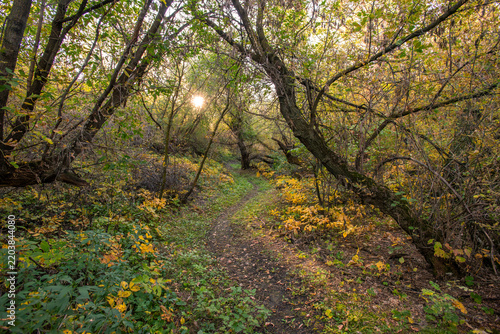 Fall colours on the Canadian prairies