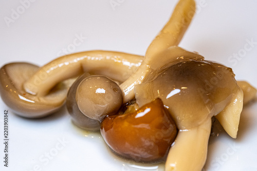 Картината върху платно Macro photograph of simmered Japanese shimeji and wild mushrooms.