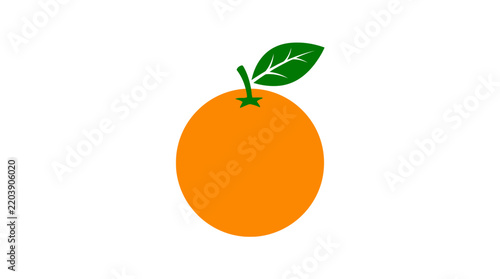 Flat Orange Fruit Vector Illustration