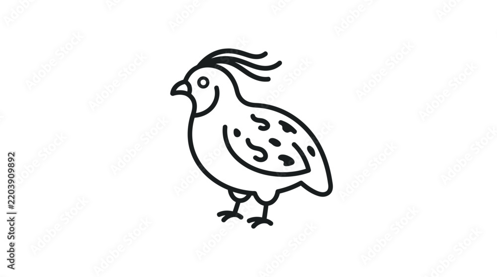 Fototapeta premium Simple black and white line art illustration of a quail with a distinctive crest and spotted body, depicted in a minimalist style.