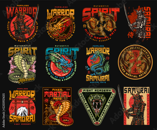 Dark background with sixteen vibrant warrior