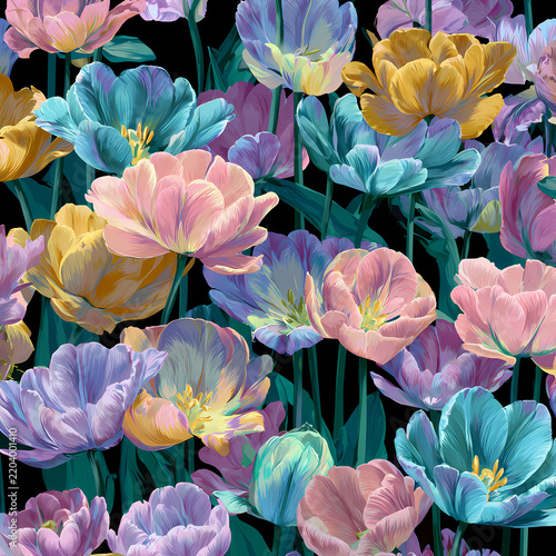 Beautiful Colorful Flowers Bouquet, Floral Botanical Background, Spring Nature Illustration